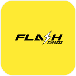 Icon of Flash